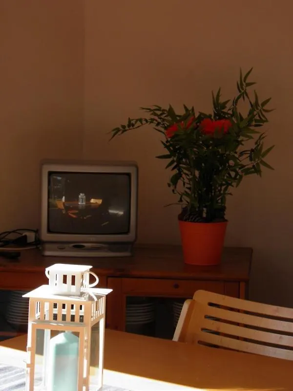 Maremmare Tuscany Apartments Principina a Mare